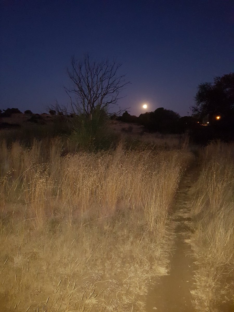 vdheever786's tweet photo. This is why I ride my mountainbike! #trekmtb #trekbikes #Mountainbike https://t.co/5uyptsCh8J