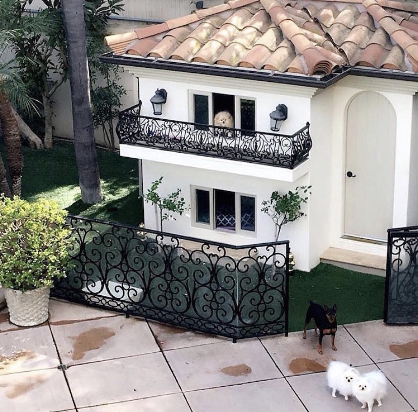 ParisHilton's tweet photo. Greetings from the #DoggyMansion 🏠🐶 https://t.co/QjPmDjiR7v