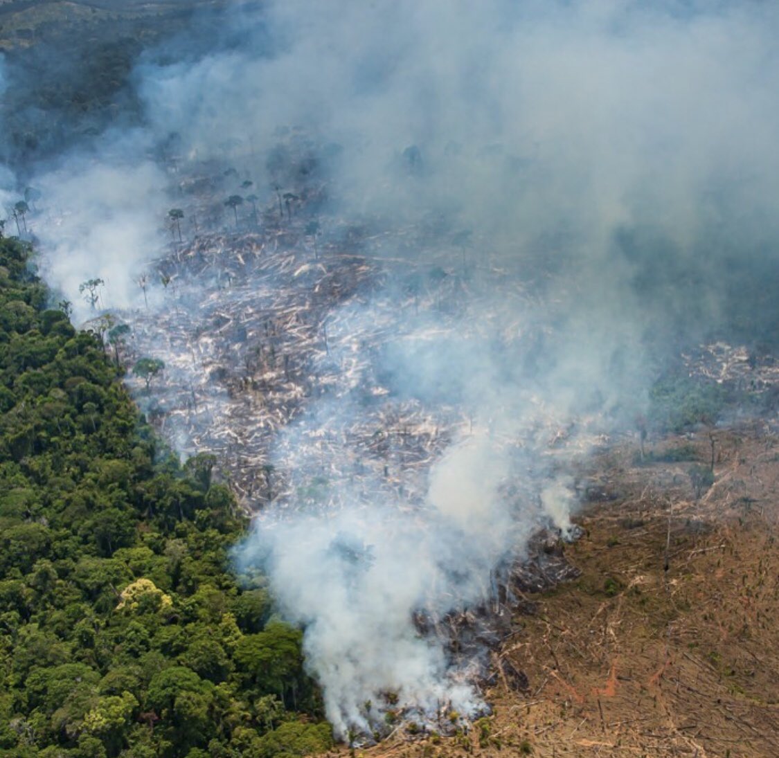 Temos uma oportunidade raríssima de atingir e conscientizar o maior número de pessoas para defender a Amazônia. 

#PrayforAmazonas