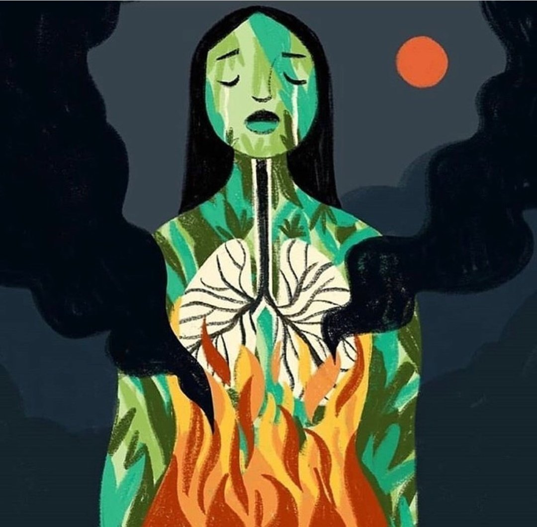 The Lungs of Earth are on fire 😔 #PrayforAmazonas #AmazonRainforest