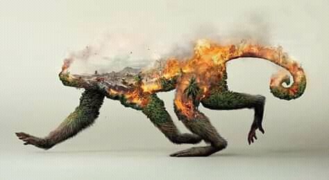 MaryFP_24's tweet photo. #PrayforAmazonas 
HELP AMAZONIA 😭😭😭😭 https://t.co/uMKG99aphz