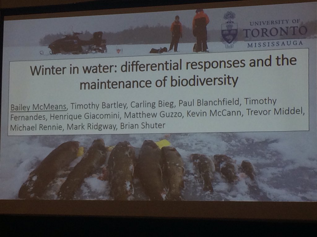 “Winters are harsh and stressful but are important in maintaining biodiversity” <a href="/bailey_mcmeans/">Bailey McMeans</a> shares her love of winter and interest in what fish do under ice in an engaging talk #EcoEvoEnto2019 #CSEE2019