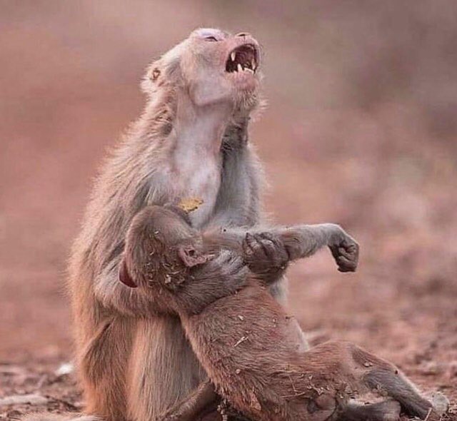 naoseencomode's tweet photo. Meu Deus, se for pra continuar assim eu te emploro, de um basta nisso por favor💔#PrayforAmazonas https://t.co/BVhyScKsuK