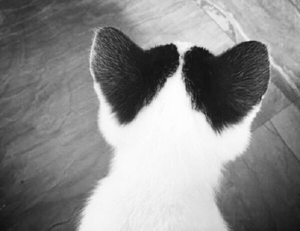 Zabierz mnie ze sobą tam, gdzie serce bije dwa razy szybciej.