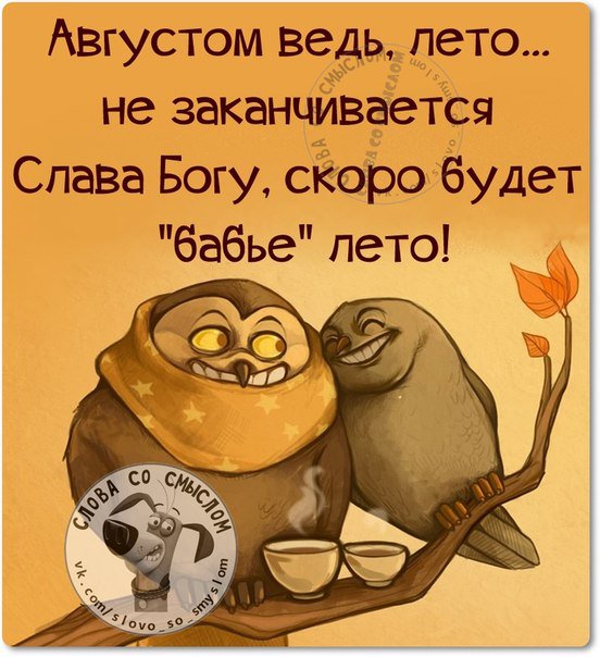 Тебя, открытки прощай лето с юмором