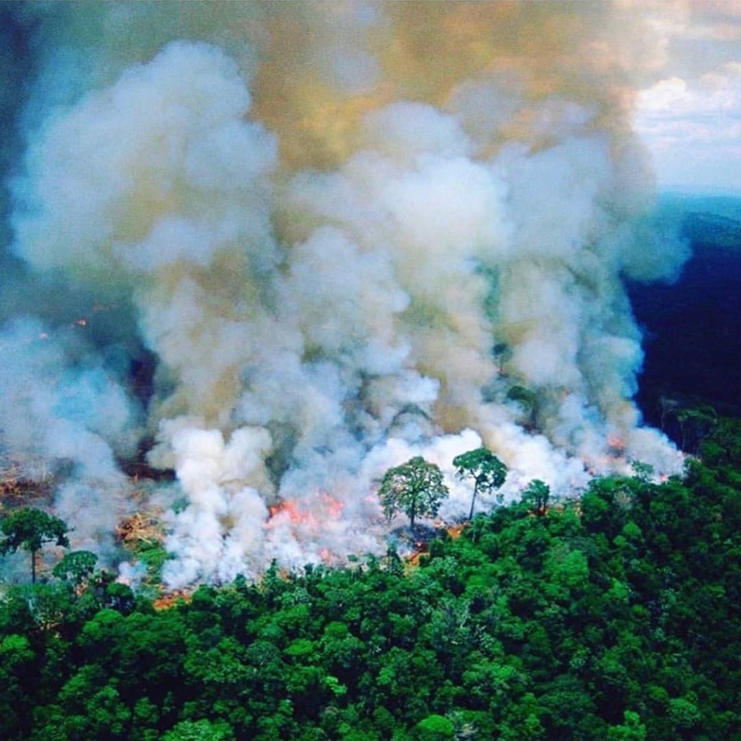 _cynicalrealist's tweet photo. The Amazon rainforest has been burning for almost 3 weeks now. Because of lack of media coverage, it‘s only now that the world is taking notice. The Amazon rainforest provides 20% of the Earth’s oxygen. Praying this tragedy would be over soon.🙏🏻
#PrayforAmazonas #AmazonRainforest https://t.co/88OQISkK85