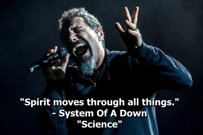 Happy Birthday Serj Tankian 