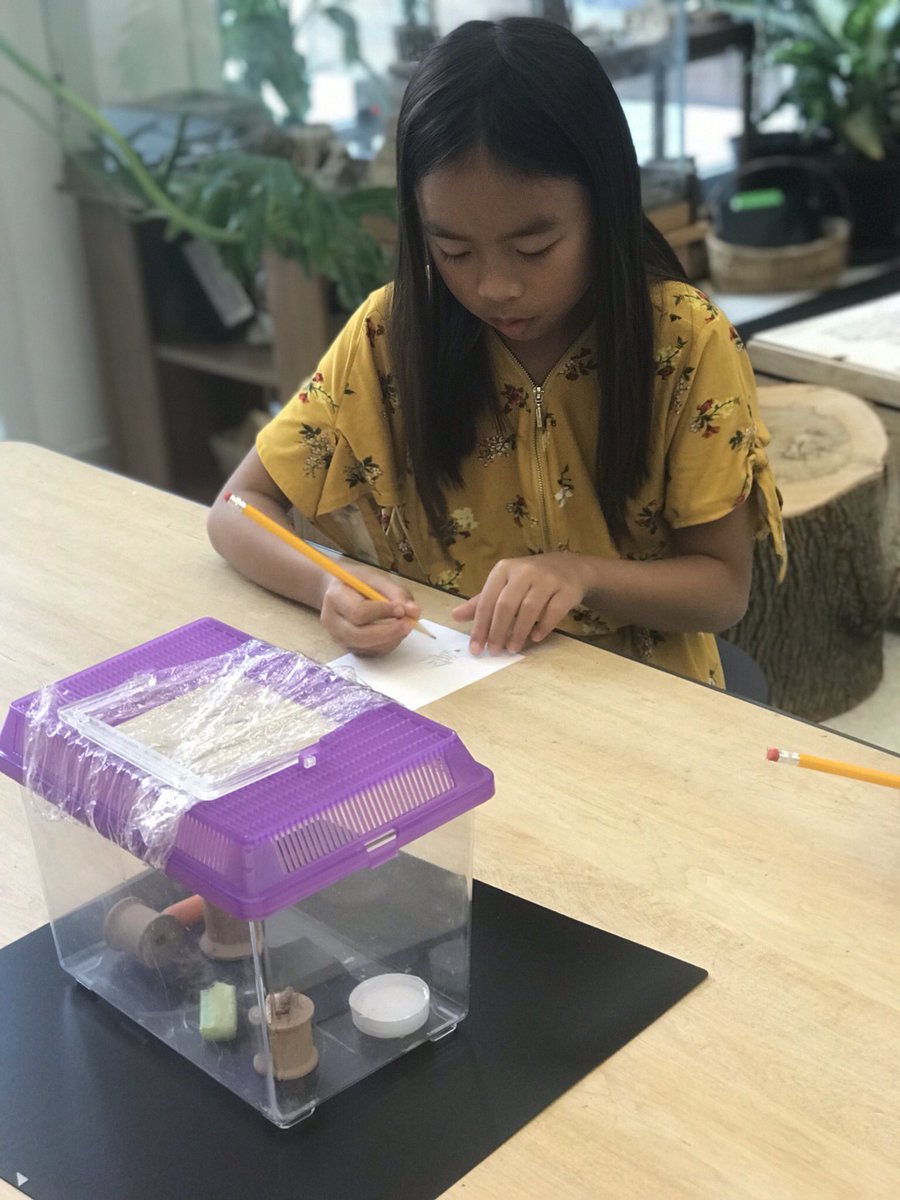 SoutheasternEl1's tweet photo. The power of observational drawings happened in art today. Students learned facts about crickets, listened to them, and observed them while making detailed drawings. @LauraGetz1969 https://t.co/KjiY4J9e7W