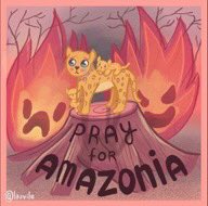 #PrayForAmazonía #PrayForTheAmazon