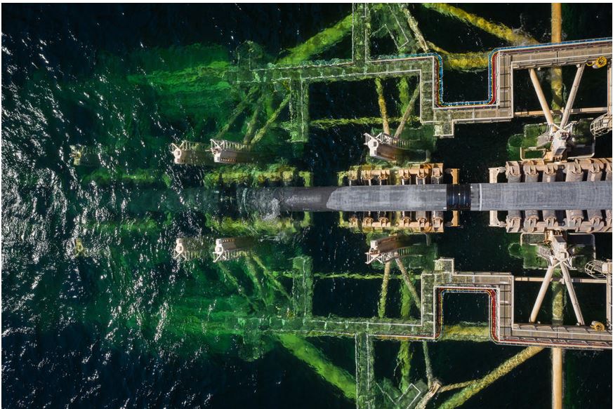 Nord Stream 2 Corp. (@nordstream2) on Twitter photo A special view – Nord Stream 2 pipelay from the Pioneering Spirit. A special view – Nord Stream 2 pipelay from the Pioneering Spirit.