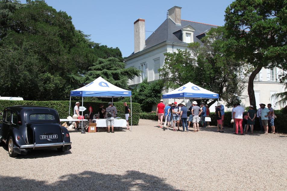 Le chenin en fête à la Paulée de l’Anjou lactuduvin.wordpress.com/2019/08/21/le-…