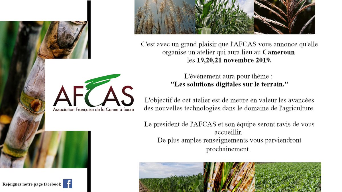 AFCASCanneSucre's tweet image. [Annonce] ⚠️⚠️
L&apos;AFCAS organise un atelier au Cameroun en novembre prochain. 
#événement #solutionsdigitales #agriculture #Cameroun #novembre #technologies