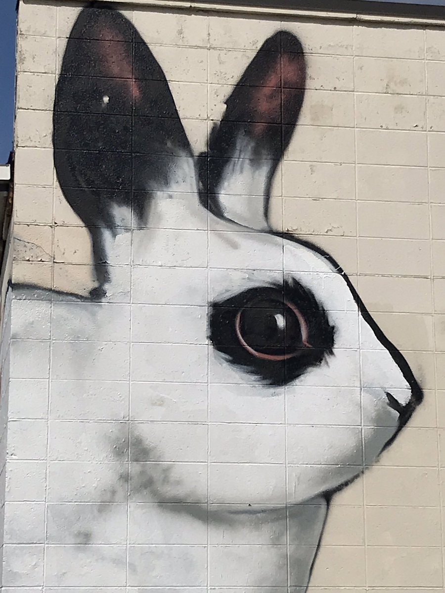 The bunny will be looking for you at the start of the Winter Market, Oct 19! #JulesMuck #LovetheBunnies