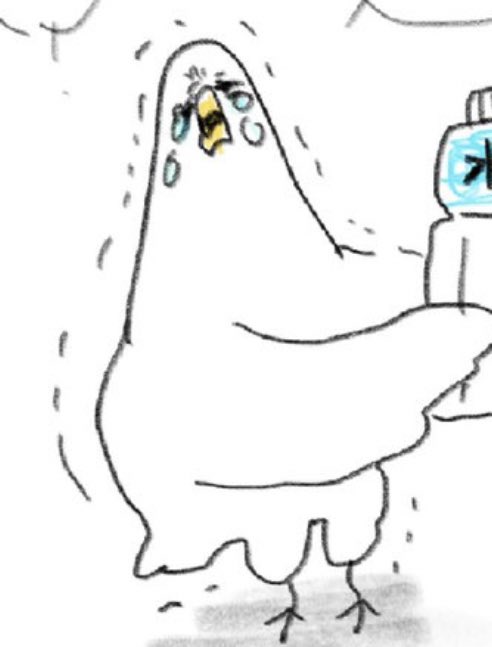 鳥はエイが怖くて怖くて仕方ないです。
でもテレビで熱中症注意って言ってたから
一生懸命教えてあげようとしています。 