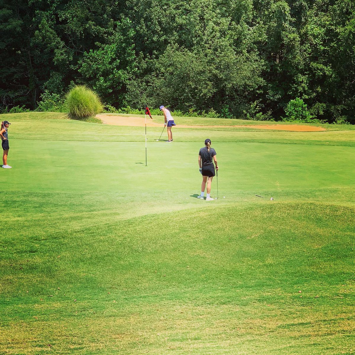 LadyPantherGolf's tweet photo. 💪 It’s been a great start to the season! 🏌️‍♀️Here’s a few action shots of your Lady Panthers! 🐾 #DC #pantherup https://t.co/Q88RKMurAy
