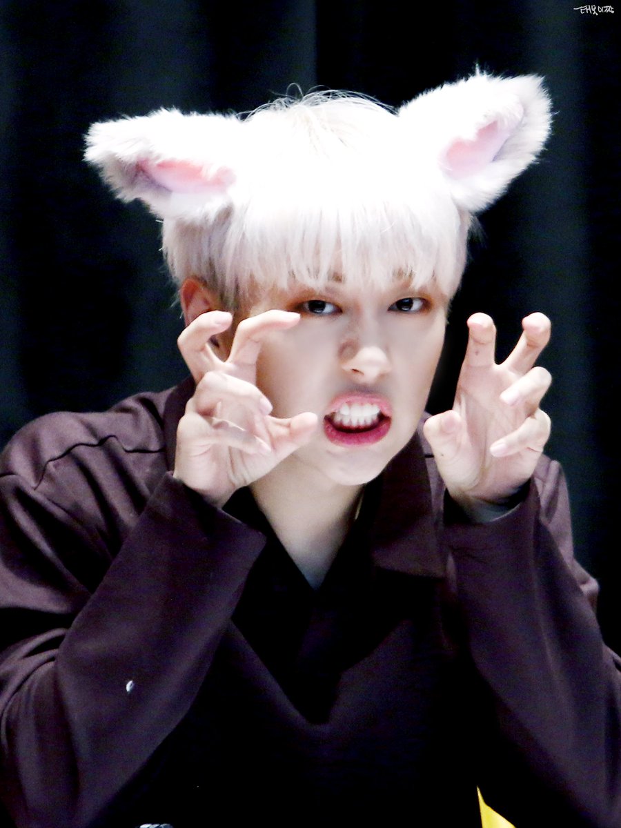 181124 핫샷 부산 팬싸

어흥🐺🐺
당장 효니 솔로2집을
내놓지 않으면 잡아먹겠다아!!

#노태현 #Rohtaehyun #earlyflowering #니가미워  #핫샷 #Hotshot #앨범 #팬싸 #ノテ #ノテヒョン #아기늑대