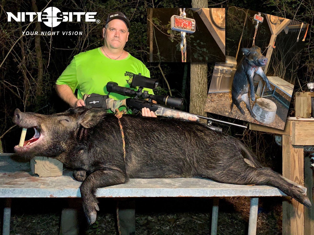 NiteSiteAmerica's tweet photo. Wild Bill does it again, 'Rooter Down!'
#nitesiteamerica #rooterdown #rootershooter #hoghunting #texashoghunting #hoghuntingtexas https://t.co/gb3LROaLsE