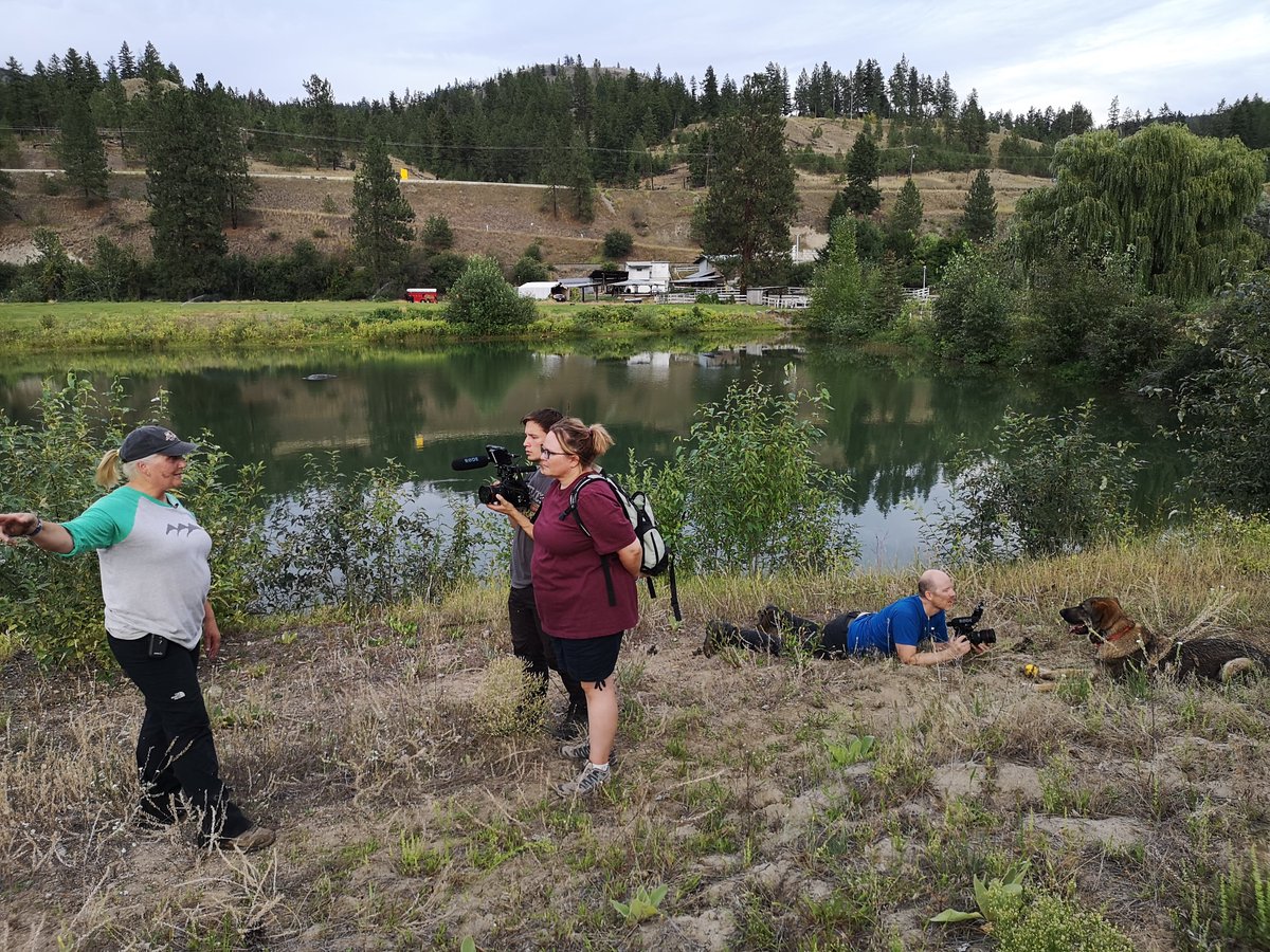 3STONESPROD's tweet photo. Our first night of filming with Mike &amp; Ranger, Carole &amp; Ada, and most of our crew! It was hot, but Ranger showed off his speed, Ada tried new things and we got some awesome footage @STORYHIVE  #watchlocal #Kamloops #searchandrescue #searchdogs #Kamloopsfilm https://t.co/zqV3OubHjs