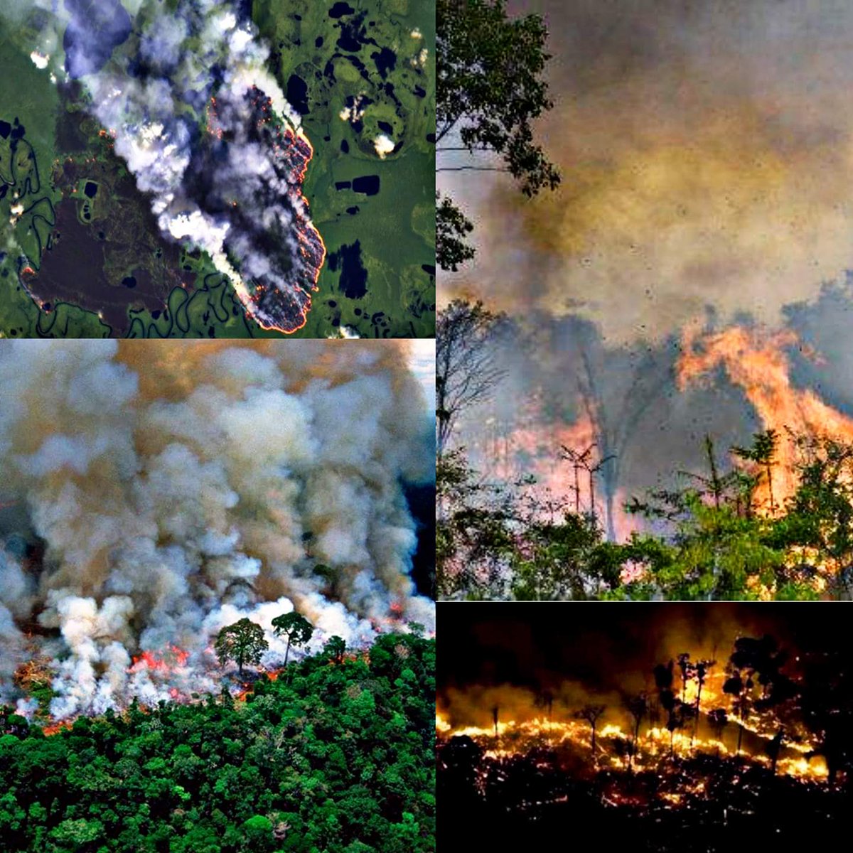 Majo_0518's tweet photo. #PrayForTheAmazon 
#AmazonFire 
Hay algo que se llama PRIORIDAD! Y el Pulmón del Planeta es uno de ellos, no veo a los medios mundiales hablar sobre éste suceso, o a los gobiernos del mundo uniéndose para apagar el fuego que está consumiendo algo vital para nuestra existencia. https://t.co/ByjqbXwR04