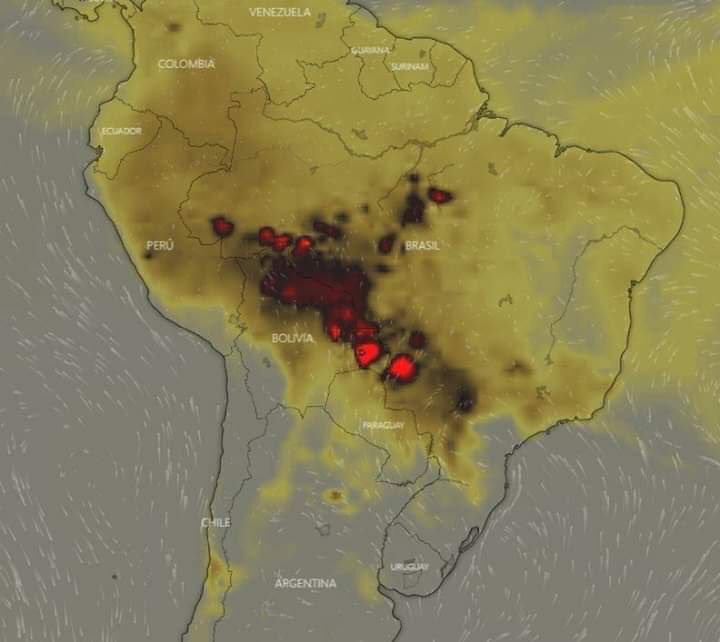 Xavi_Fonseca's tweet photo. Primero fue el deshielo histórico en Groenlandia y ahora los incendios masivos en el Amazonas. Por su influencia ambas son crisis globales. Más agua dulce en los océanos y CO2 en la atmósfera. Así se consigue desestabilizar el sistema climático. https://t.co/bob2I6yUuz