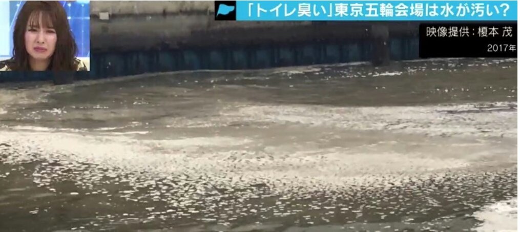 FOOJAP's tweet photo. 【閲覧注意！】

これが東京五輪トライアスロンコース近くの水だってよ！

きったね〜〜〜💩💩💩

トイレットペーパーウヨウヨ浮いてるし色が💩！

まぁある意味TOKYO2020（笑）の体たらくを象徴してるし良いかもな！

アサガオ打ち水、変な帽子と来て次は💩か〜

ニッポン美しい🎌💩🎌！

#Tokyo2020 https://t.co/XEbQzlOLBE