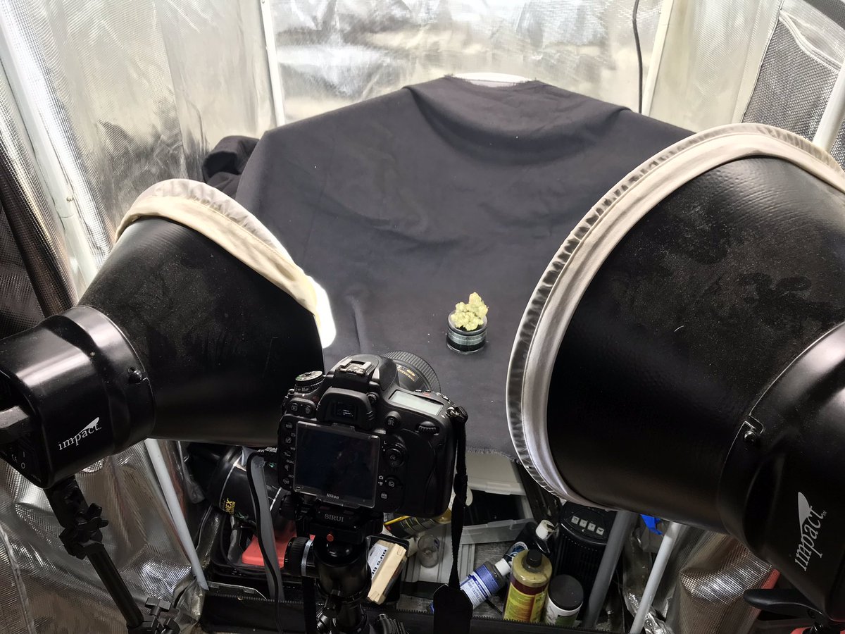 UptownGrowLab's tweet image. #shareyourstudio @Patreon What my work space looks like. #ugl420 #kitchenkrew #cannabisannual2020