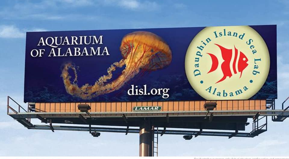 Did you know Dauphin Island Sea Lab (@disealab) was named as the Official Aquarium of Alabama? Thank you to State Representative Chip Brown District 105 for supporting DISL! 
#dislexperience disl.org