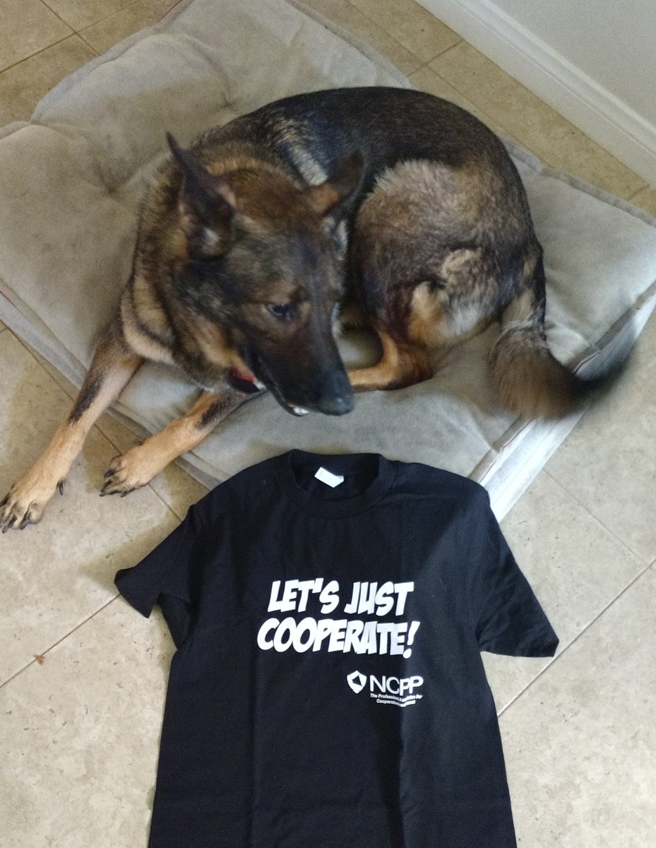 _NCPP's tweet photo. Enter NCPP raffle for "Let's Just Cooperate" t-shirt during upcoming @NIGPForum  - visit the NCPP booth. Dog not included! https://t.co/0DIJaDUudF