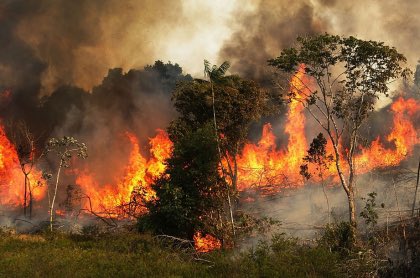villalobossebas's tweet photo. Tengo impotencia e indignacion con lo que está pasando en el Amazonas, no puedo creer que lleve más de 3 semanas incendiándose y ninguno de los gobiernos esté haciendo nada al respecto, ni siquiera los medios están Informando de esto. Van 475,000 hectáreas, ¿QUÉ PUTAS ESPERAN? https://t.co/4Far7usiTb