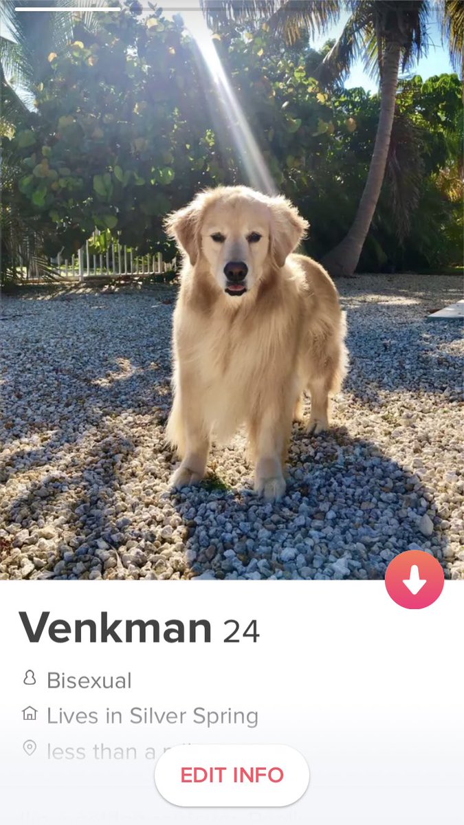 TheGoldenRatio4's tweet photo. You guys. We put venk on tinder for this week’s podcast. It was amazing. https://t.co/l7VKe7QzDO https://t.co/uJAFL7J5RO