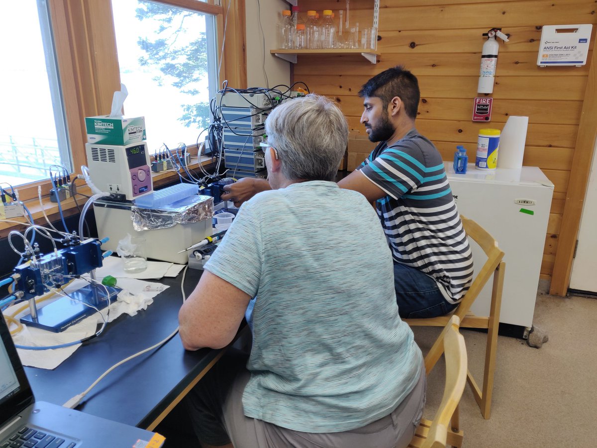 madmagicdoc's tweet photo. Learning what an Ussing chamber is, and how to work with T84 colonic cells to study chloride secretion.
@yashtradamus
@MDIBL
#Originsofrenalphysiology https://t.co/Cxp6IWwwbv