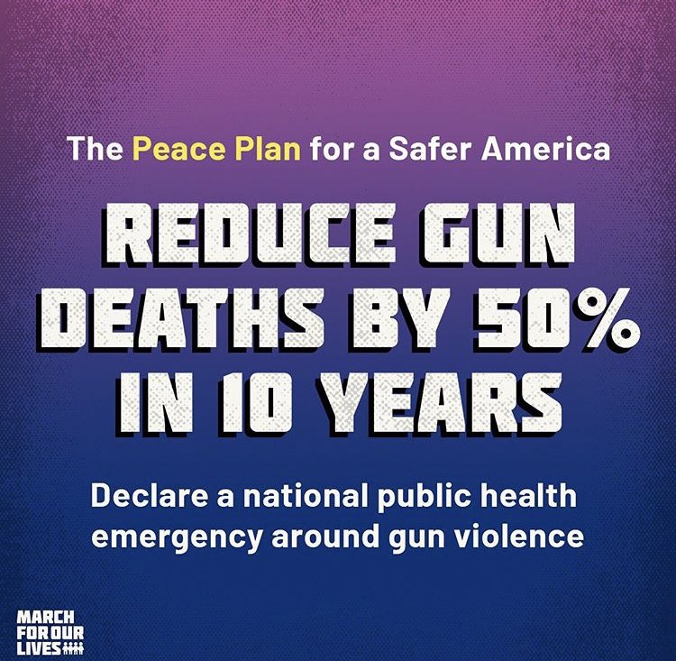 MFOLNC's tweet photo. Click the link in our bio to support our Peace Plan for a Safer America, North Carolina! #marchforourlives #MFOLNC https://t.co/Cnunz8ZJIf
