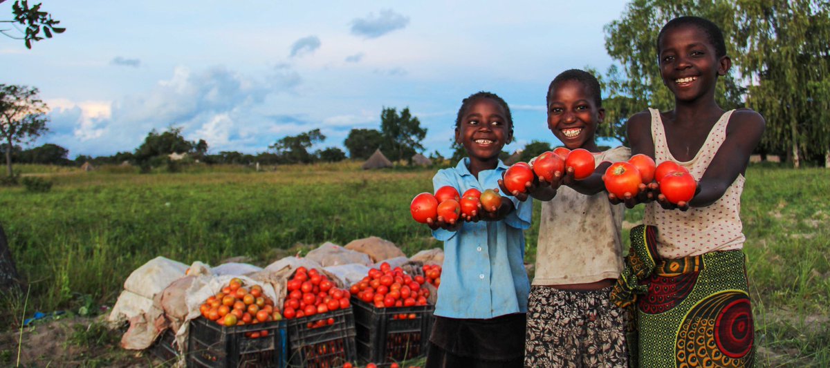 ARBORETUM tweet media