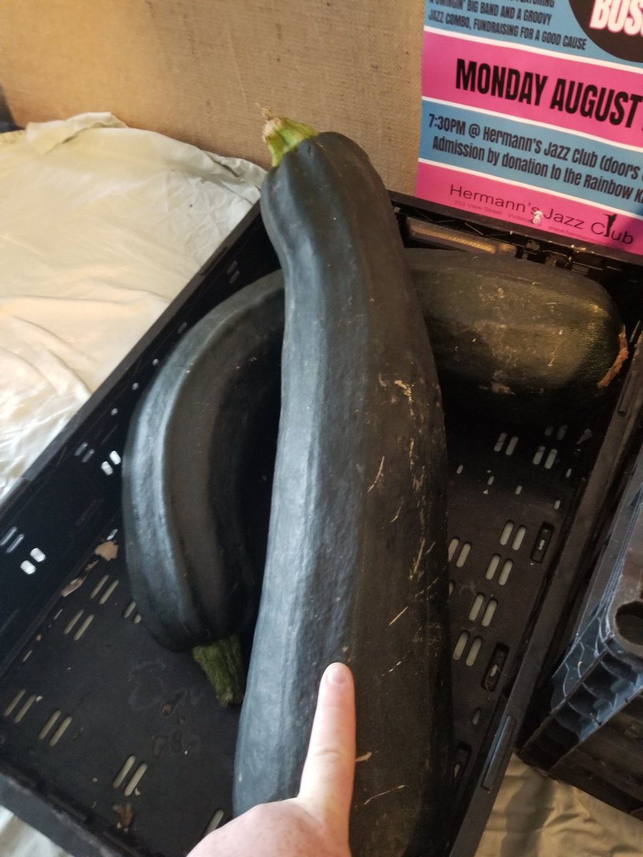 Sometimes we see some pretty incredible results of nature. Yup, thats a zucchini and my finger is for scale. Want one? Come on by.