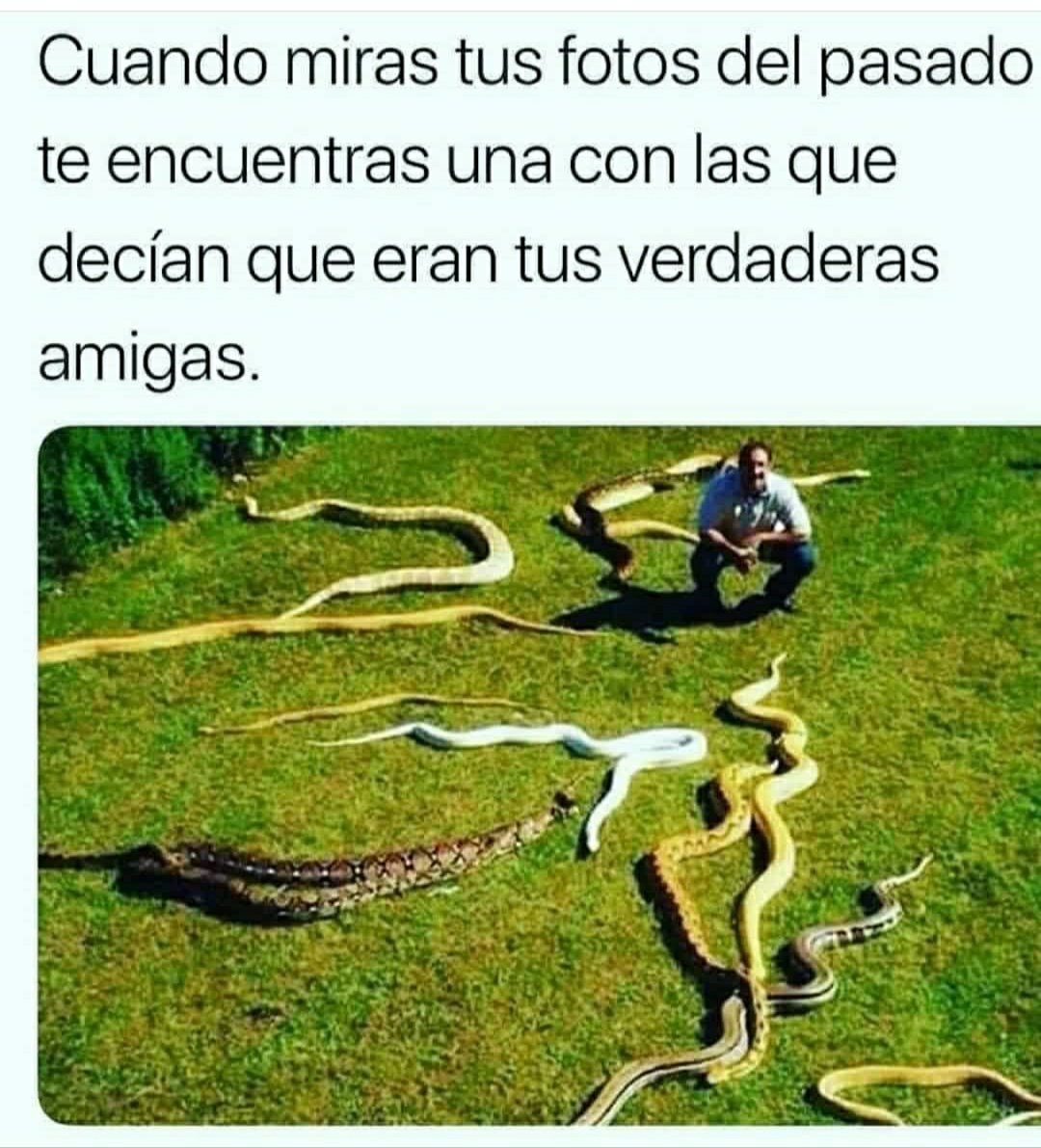 ivpichu's tweet photo. No tiene por k ser tan malo https://t.co/AOfdNVVDji