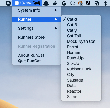 Mac the cat Mac the cat