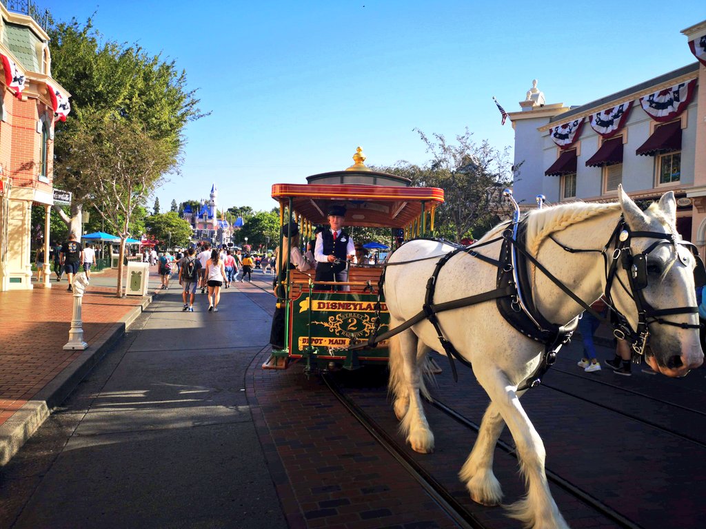 InsideDlpCastle's tweet photo. Main Street Usa et comme à @DisneylandParis le cheval Percheron vous emmènes en ballade 🐴🚞
#Disneyland #DLlive
#disneyparks https://t.co/Uhr2ZsCqjr