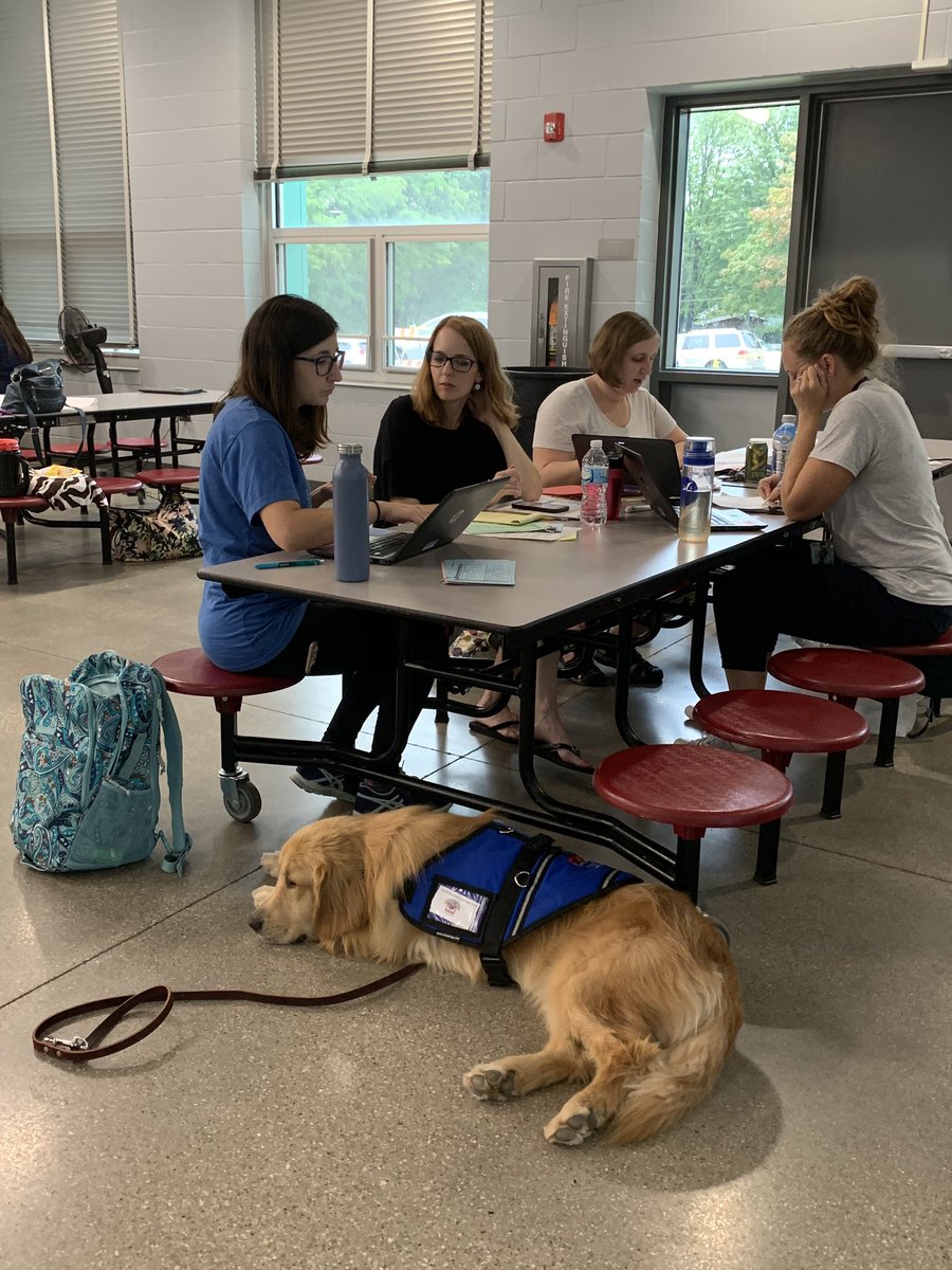 SKuburas's tweet photo. Cattell teachers hard at work prepping for a strong start to the year. Our newest team member is making it hard to focus... @DMPS_TeachLearn @Cattell_DMPS https://t.co/mMTjqbRFlM