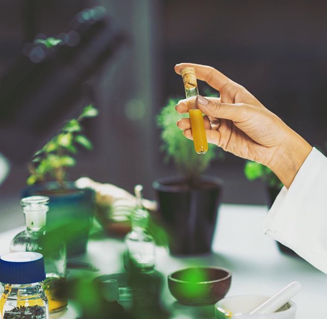 Devenez Naturopathe grâce à Progress Santé ! En partenariat avec Be Académie, nous vous proposons une formation semi-présentielle de 8 mois. Infos et inscriptions au 0144542424 #progresssante #naturopathie #formation #bienetre ift.tt/30nMkD3