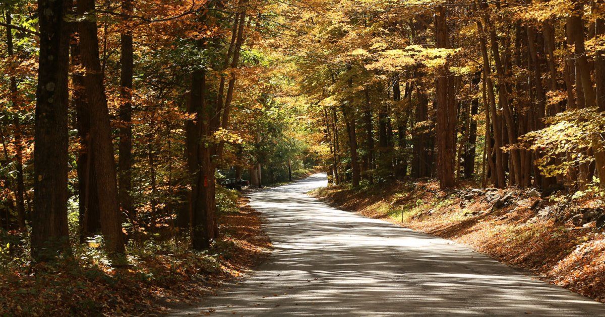 omega_institute's tweet photo. Improve your overall health with the innovative Zero Balancing system with Jim McCormick, Sept. 8-13. https://t.co/cboaTdvbYI #zerocore https://t.co/FOXYIbTzG0
