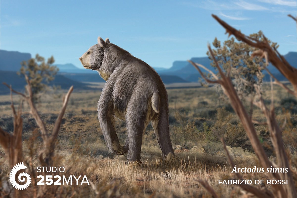 Arctodus Simus