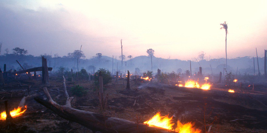 Die grüne Lunge unseres Planeten brennt lichterloh. Die Regeneration wird viel Zeit in Anspruch nehmen. Bedrohte Wälder brauchen unsere Unterstützung. Zusammen mit unserem Partner <a href="/WeForest_org/">WeForest</a> pflanzen wir für jeden neuen Vertrag einen Baum #PrayforAmazonas #nachhaltigversichert