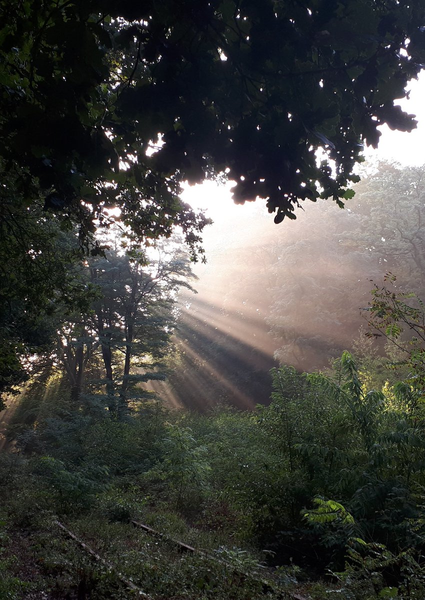 Mooi man, op de 🚴‍♀️ naar het werk.