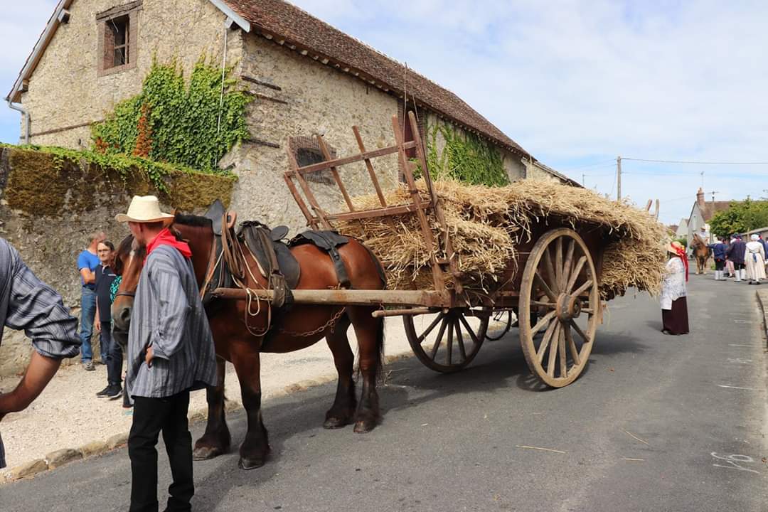 La Fête de la moisson de Provins(77), dimanche 25 août, 500 participants, fanfares, chevaux, tracteurs anciens, chars décorés de blé, battage à l'ancienne, fermes pédagogiques et de nombreuses animations...
#provins #dansle77 #moisson #fête
Réserver ! => provins-fete-moisson.org/reservation