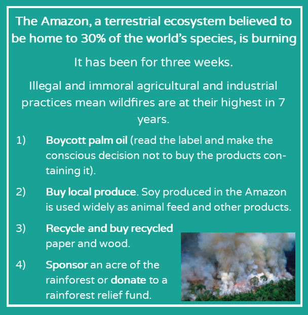 Another Way tweet media