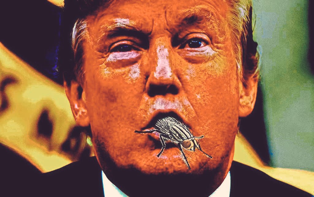 The orange Antichrist now thinks he’s the King of the Jews! Trumps twitter feed will be used to prove to prosecutors that he’s too crazy, to stand trial after he leaves office, and will be declared what we already freaking know.
Nuts!
#KingOfTheJews 
#antichrist