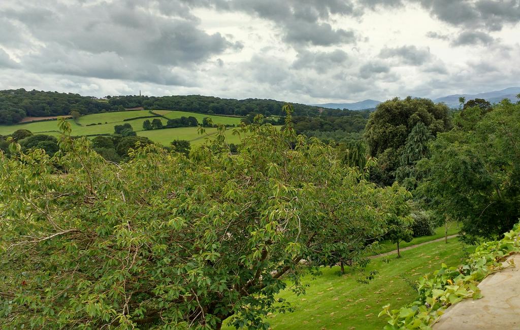 AdvollyR's tweet photo. Excellent afternoon at Gloddaeth Hall, North Wales. Remains of C17th formal canal and magnificent views from the terraces. Just look at that maze (gone). Also found a Farnese Hercules see them apples! (in his hand🙄)😁 1/2 https://t.co/R45x4LITTE