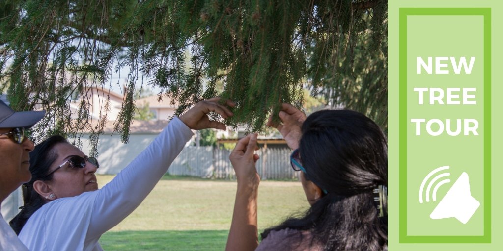leaf's tweet photo. Discover the beauty of Lake Wilcox Park in #RichmondHill! On September 17 at 6 PM, we will join local experts to explore the park's landscape and its trees and discuss the environmental benefits of the #urbanforest. Register for this free #LEAFTreeTour: https://t.co/hviWumdvQn https://t.co/xka9Ucg8WN