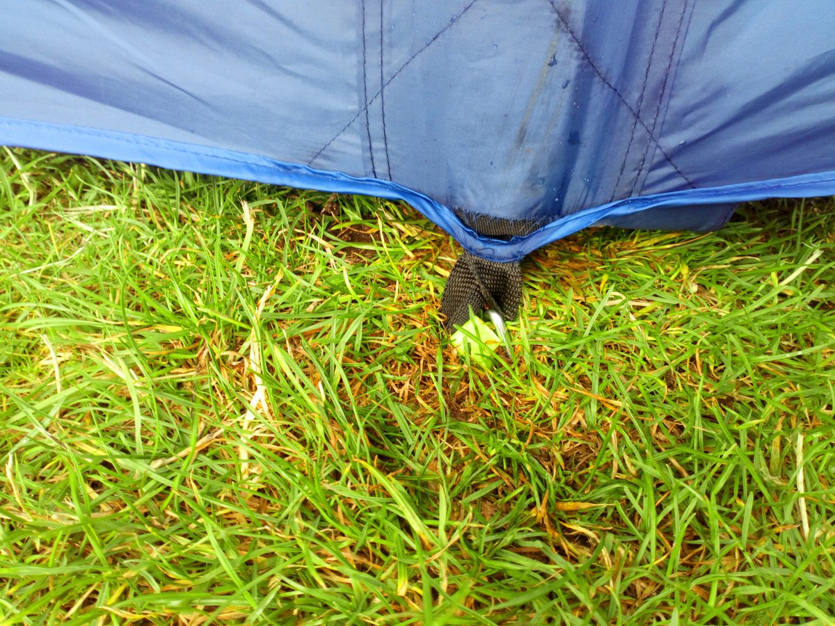 Marc North tweet media