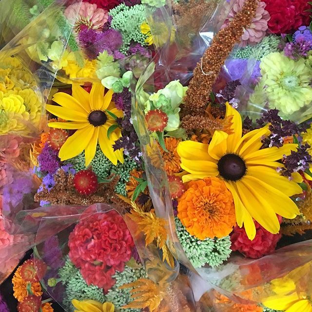 bloomery's tweet photo. Just dropped off some great bouquets at @eastendfoodcoop ! 
#bloomerygrown #localflowers #pittsburghflowers https://t.co/iVnkJKdLVr https://t.co/8uQdENbvX6